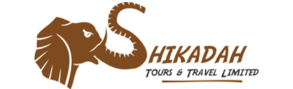 Shikadah Tours